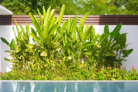 Вилла в Самуи, Таиланд с 3 спальнями  № 158420 - фото 19