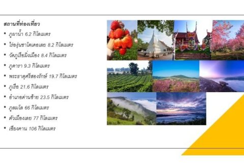 Land in Loei, Thailand 19200 sq.m. № 171046 - photo 11