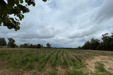 Land in Loei, Thailand 19200 sq.m. № 171046 - photo 6