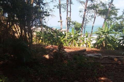Land in Phuket, Thailand 584 sq.m. № 171050 - photo 2