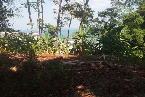 Land in Phuket, Thailand 584 sq.m. № 171050 - photo 5