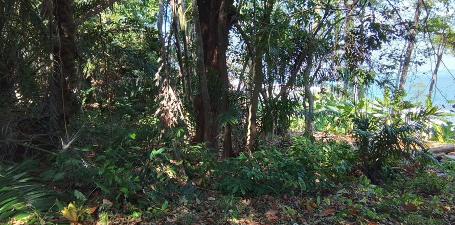 Land in Phuket, Thailand 584 sq.m. № 171050