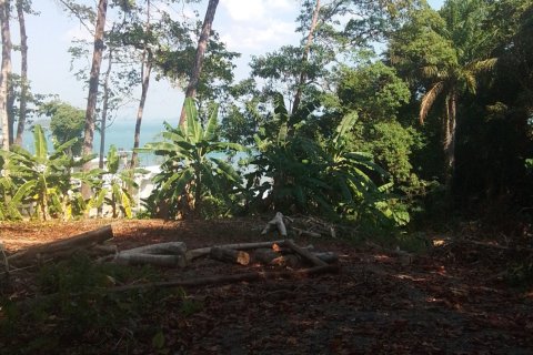 Land in Phuket, Thailand 584 sq.m. № 171050 - photo 7