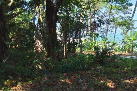 Land in Phuket, Thailand 584 sq.m. № 171050 - photo 4