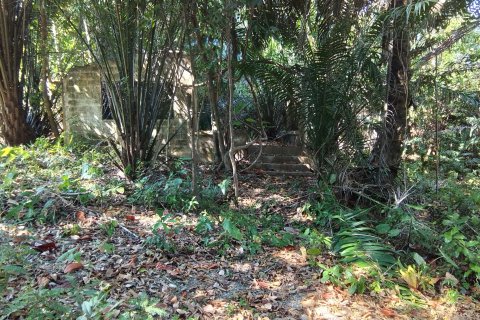 Land in Phuket, Thailand 584 sq.m. № 171050 - photo 3