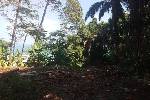 Land in Phuket, Thailand 584 sq.m. № 171050 - photo 6