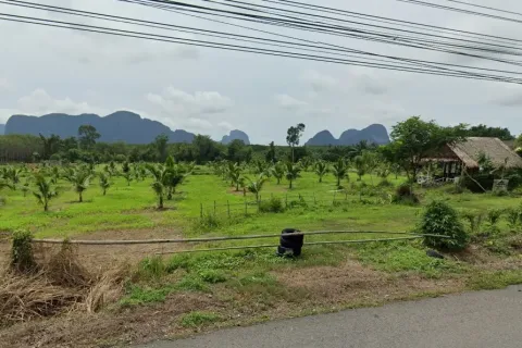 Land in Phang Nga, Thailand 49600 sq.m. № 159544 - photo 2