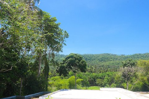 Дом в Самуи, Таиланд с 4 спальнями  № 117157 - фото 24