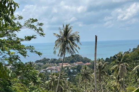Studio à Ko Samui, Thaïlande № 172416