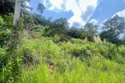 Studio à Ko Samui, Thaïlande № 172416 - photo 4