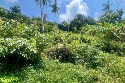 Studio à Ko Samui, Thaïlande № 172416 - photo 2