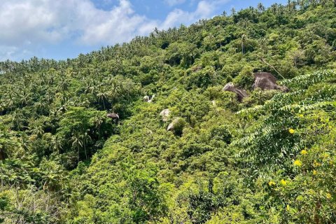 Studio à Ko Samui, Thaïlande № 172416 - photo 5
