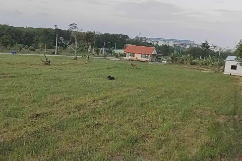 Land in Mai Khao, Thailand 2400 sq.m. № 147695 - photo 1
