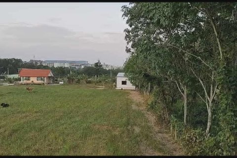 Land in Mai Khao, Thailand 2400 sq.m. № 147695 - photo 2