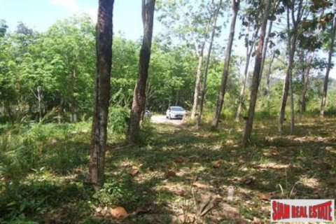 Земельный участок в Ао-Нанге, Таиланд 4800м2 № 202527 - фото 5