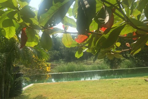 Villa in Cha-am, Thailand 3 bedrooms № 161544 - photo 12