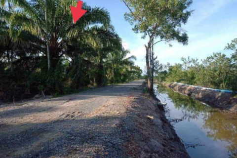 Земельный участок в Накхонситхаммарате, Таиланд 40000м2  № 147588 - фото 2