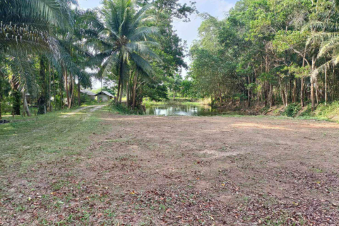 Земельный участок в Накхонситхаммарате, Таиланд 40000м2  № 147588 - фото 3