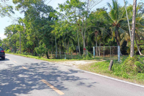 Земельный участок в Накхонситхаммарате, Таиланд 40000м2  № 147588 - фото 16