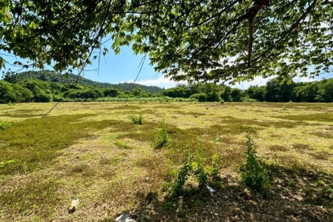 Земельный участок в Пран Бури, Таиланд  № 116418 - фото 8