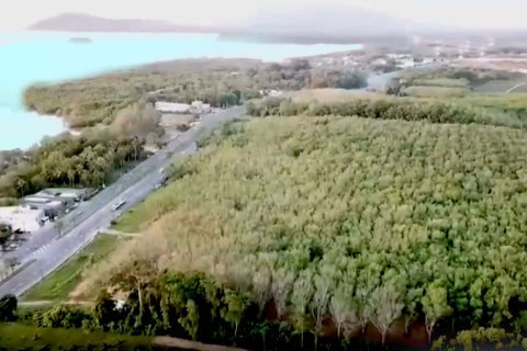 Land in Mai Khao, Thailand 202120 sq.m. № 163182 - photo 4