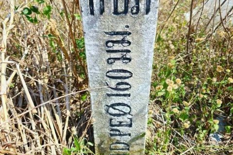 Land in Pattaya, Thailand 49600 sq.m. № 163178 - photo 11