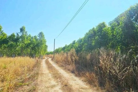 Land in Pattaya, Thailand 49600 sq.m. № 163178 - photo 9