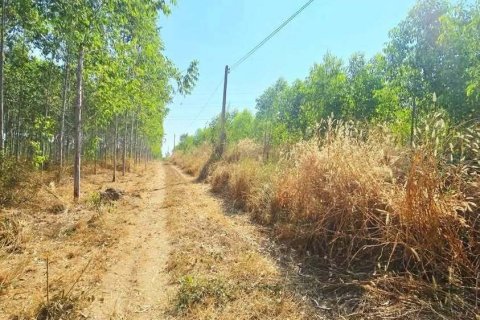 Land in Pattaya, Thailand 49600 sq.m. № 163178 - photo 10