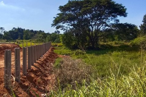 Земельный участок в Накхонратчасиме, Таиланд 24000м2  № 158090 - фото 2