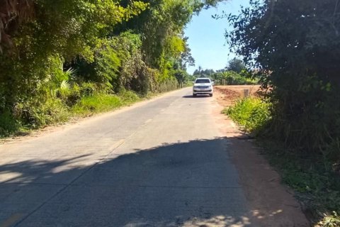 Земельный участок в Накхонратчасиме, Таиланд 24000м2  № 158090 - фото 5