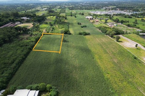 Земельный участок в Пак Чонге, Таиланд 4436м2  № 158092 - фото 2