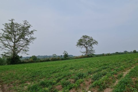 Земельный участок в Пак Чонге, Таиланд 4436м2  № 158092