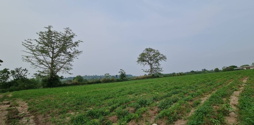 Земельный участок в Пак Чонге, Таиланд 4436м2  № 158092