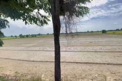 Land in Phichit, Thailand 78476 sq.m. № 164285 - photo 4