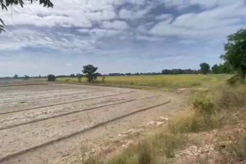 Land in Phichit, Thailand 78476 sq.m. № 164285 - photo 3