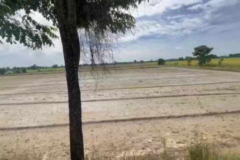 Land in Phichit, Thailand 78476 sq.m. № 164285 - photo 2