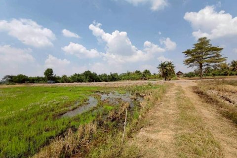 Земельный участок в Банг Нам Приао, Таиланд 15м2  № 164286 - фото 7