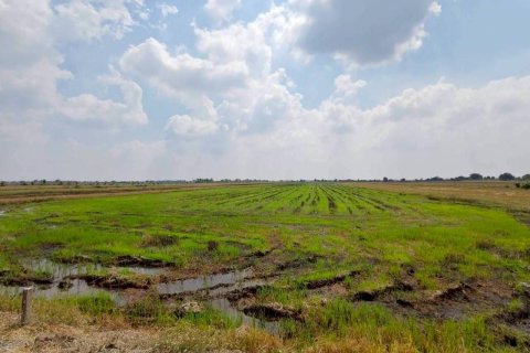 Земельный участок в Банг Нам Приао, Таиланд 15м2  № 164286