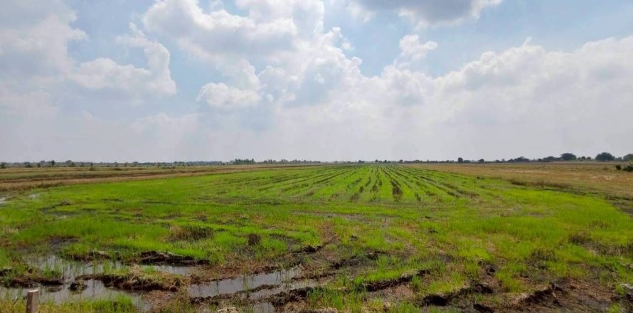 Земельный участок в Банг Нам Приао, Таиланд 15м2  № 164286