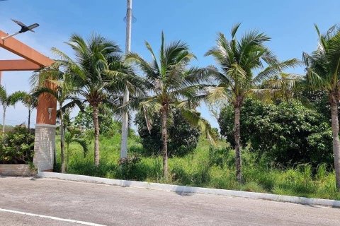 Land in Hua Hin, Thailand 23200 sq.m. № 162212 - photo 5