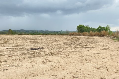 Земельный участок в Паттайе, Таиланд 73472м2  № 164251 - фото 3