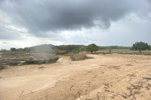 Земельный участок в Паттайе, Таиланд 73472м2  № 164251