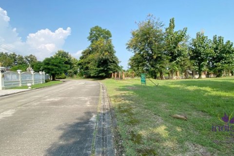 Земельный участок в Чиангмае, Таиланд  № 162628 - фото 4