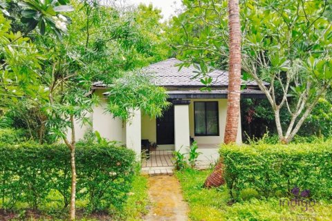 Коммерческая недвижимость в Чиангмае, Таиланд  № 162626 - фото 22