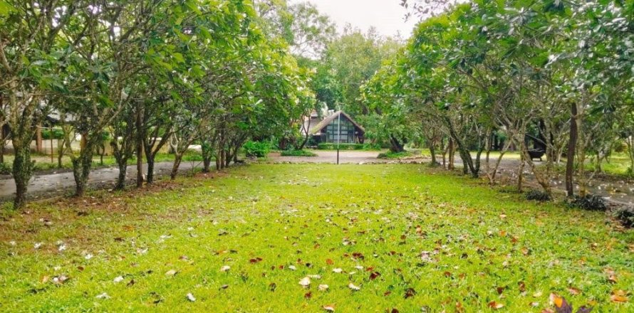 Коммерческая недвижимость в Чиангмае, Таиланд  № 162626