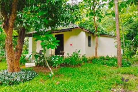 Коммерческая недвижимость в Чиангмае, Таиланд  № 162626 - фото 20