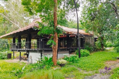 Коммерческая недвижимость в Чиангмае, Таиланд  № 162626 - фото 18