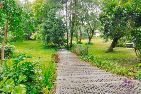 Коммерческая недвижимость в Чиангмае, Таиланд  № 162626 - фото 5