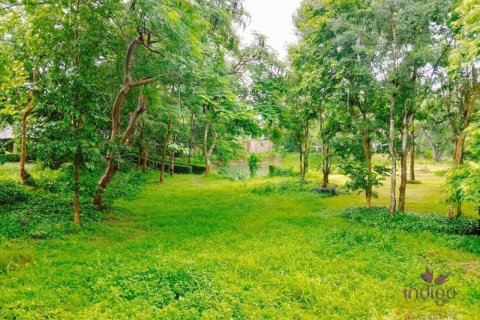 Коммерческая недвижимость в Чиангмае, Таиланд  № 162626 - фото 25