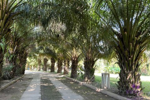 House in Chiang Mai, Thailand 3 bedrooms № 162634 - photo 26